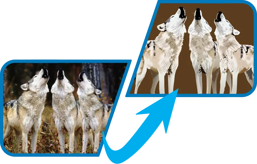 wolves convert jpg to vector